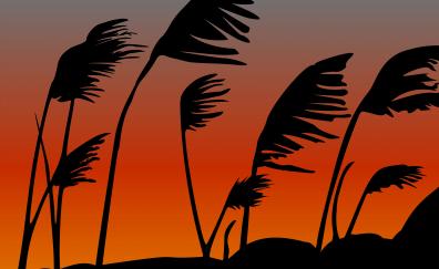 Sunset, silhouette, sky, plants, digital art