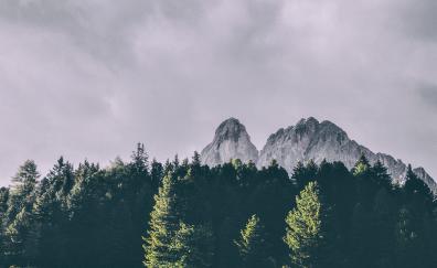 Mountains, trees, Peitlerkofel, Dolomites, Italy