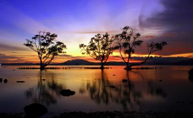 Three trees, lake, sunset, silhouette