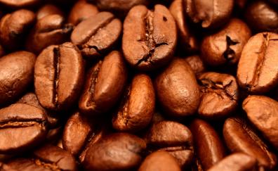 Roasted, coffee beans, close up