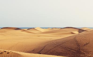Dunes, desert, coast, nature