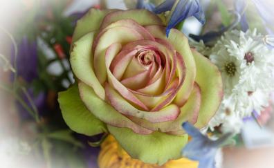 Yellow rose, wedding flowers, arrangement