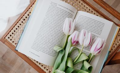 Flowers and book, reading