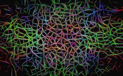 Glowing lines, abstract, structure, colorful pattern