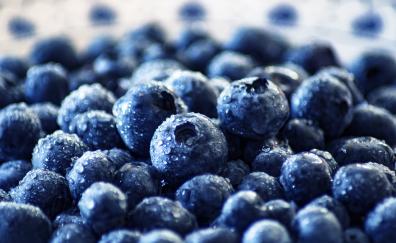 Fresh, fruits, blueberry, drops