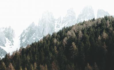 Dolomites, autumn, trees