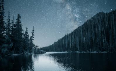 Night out, lake, forest, nature