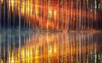 Sunlight, sunbeams, tree, autumn, lake, reflections