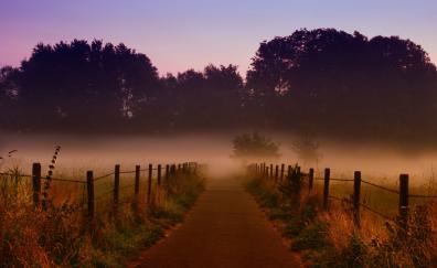 Pathway, fence, dawn, sunrise, fog