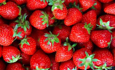 Fresh, fruit, strawberry