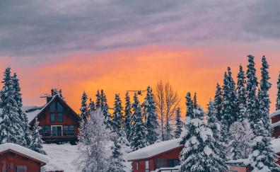 Houses, winter, golden glow, sunset