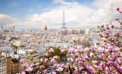Eiffel tower, Paris, France, flowers, beautiful blossom