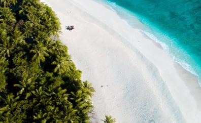 Beautiful, beaches, palms, Maldives