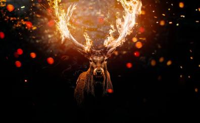 Deer, horns on fire, muzzle, art