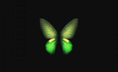 Samsung Galaxy Fold, green butterfly, minimal, art