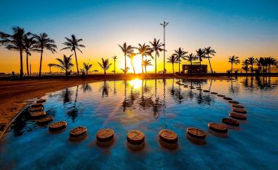 Sunset, palm tree, pool, water