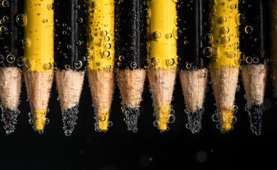 Yellow-back pencils, underwater, bubbles