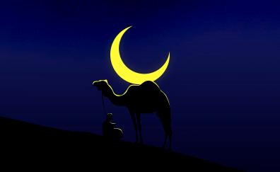 Camel and his master, moon, minimal