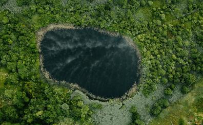 Oval lake, forest, nature, aerial view