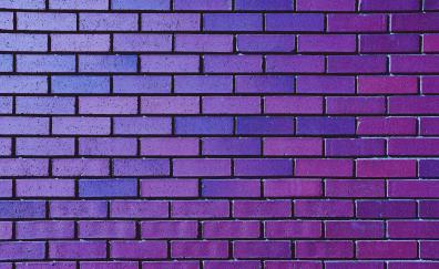 Violet wall, bricks, pattern