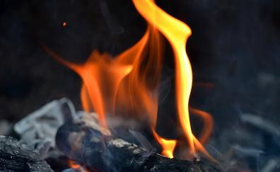 Wood fire, flame, smoke, close up