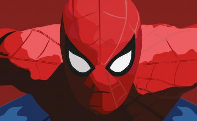 Spider-man, minimal, close up, art