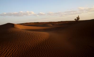 Desert, sand, sunset, sky