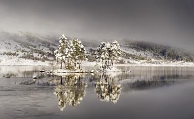 Winter, lake, reflections, nature