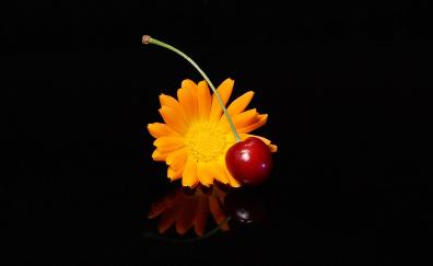 Cherry and flower, portrait, dark