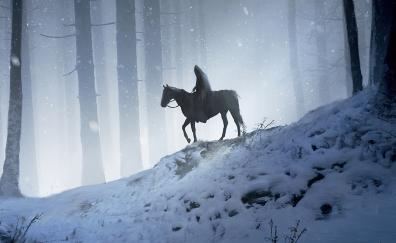 Man on horse, walking through woods, silhouette, fantasy