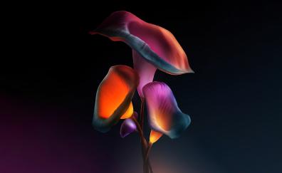 Iris flowers, dark, glowing neon