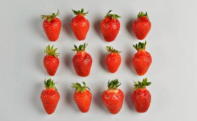 Strawberries, berries, arranged, minimalism