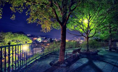 Beautiful cityscape, garden tree, night, city