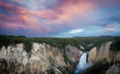 Yellowstone National park, forest, sunset, nature