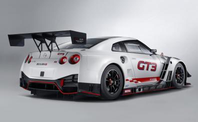 2018, NISMO, Nissan GT-R Nismo GT3, rear