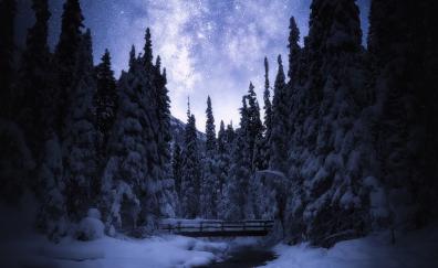 Banff National Park, Canada, night, trees, forest, bridge