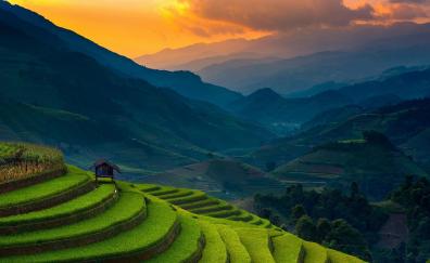 Rice farms, landscape, horizon, mountains, Philippines
