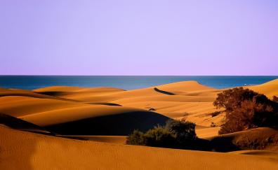 Dunes, desert, coast, sea, nature