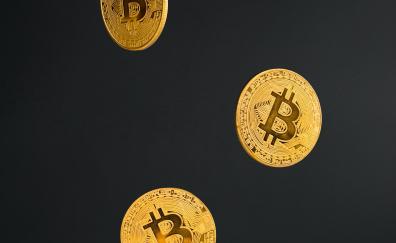 Coins, golden bitcoin, cryptocurrency