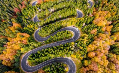 Winding road, highway, aerial view, forest