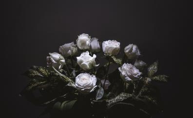 White roses, bouquet, portrait