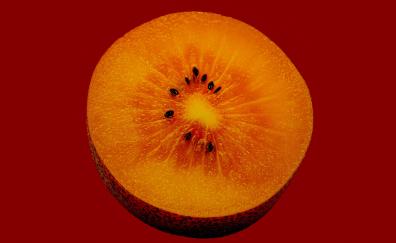Orange fruit, close up, slice