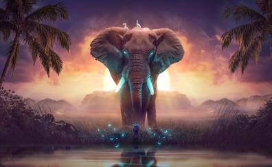 The Elephant of dreamland, wild animals, fantasy