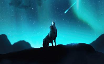 Fox howling, night, northern lights, stars