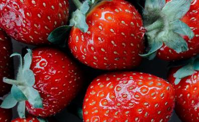 Juicy and fresh strawberries, close up