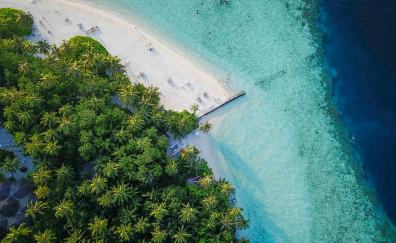 Maldives, island, tropical, aerial view, beach