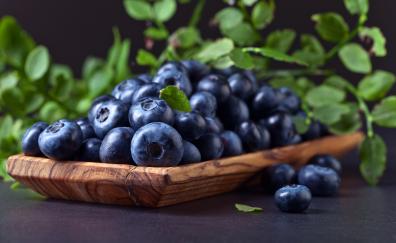 Kitchen, leaves, blueberries, fruits