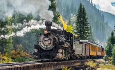 Steam engine, train, forest, railroad, vehicle