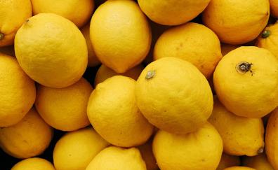 Lemons, citrus fruit