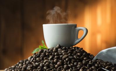 Coffee cup, smoke, beans